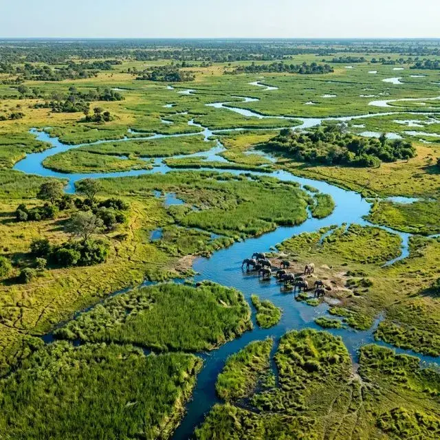 Okavango Delta