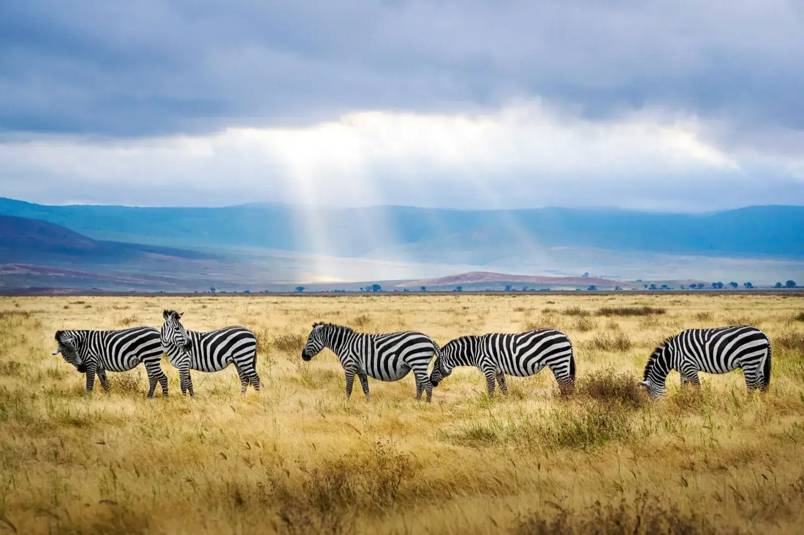 South Africa